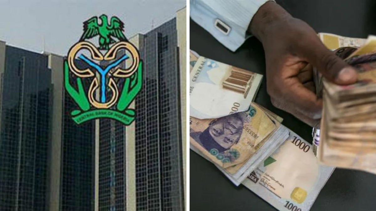 Experts Differ On Effect Of CBN’s Naira Design | Dataphyte